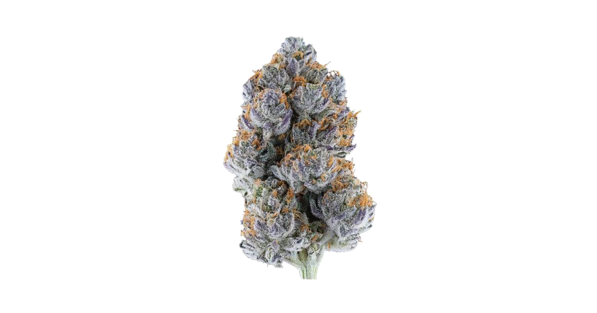 Blue Frost