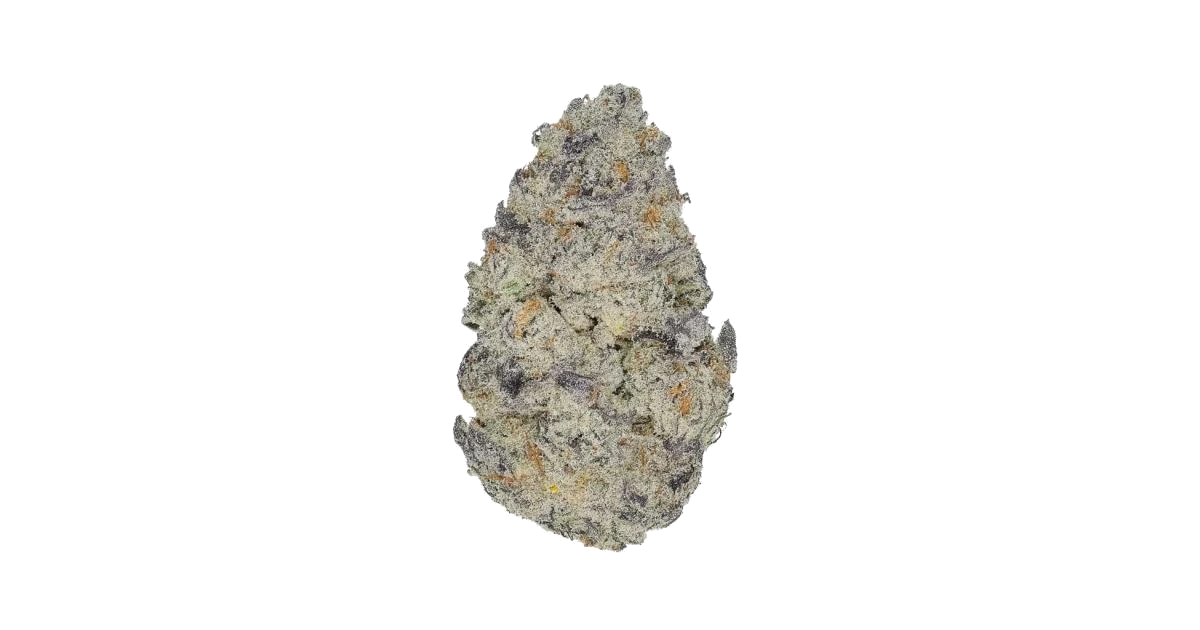Blue Guava Gelato