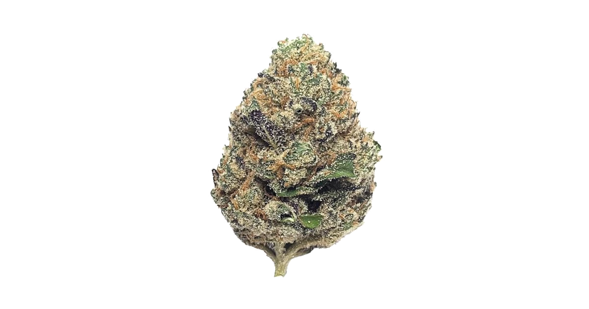 Blue Sherbet x RuntZ