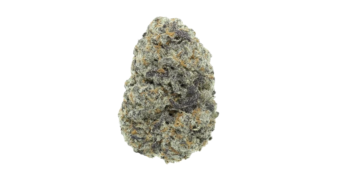 Blueberry Bubble Gum