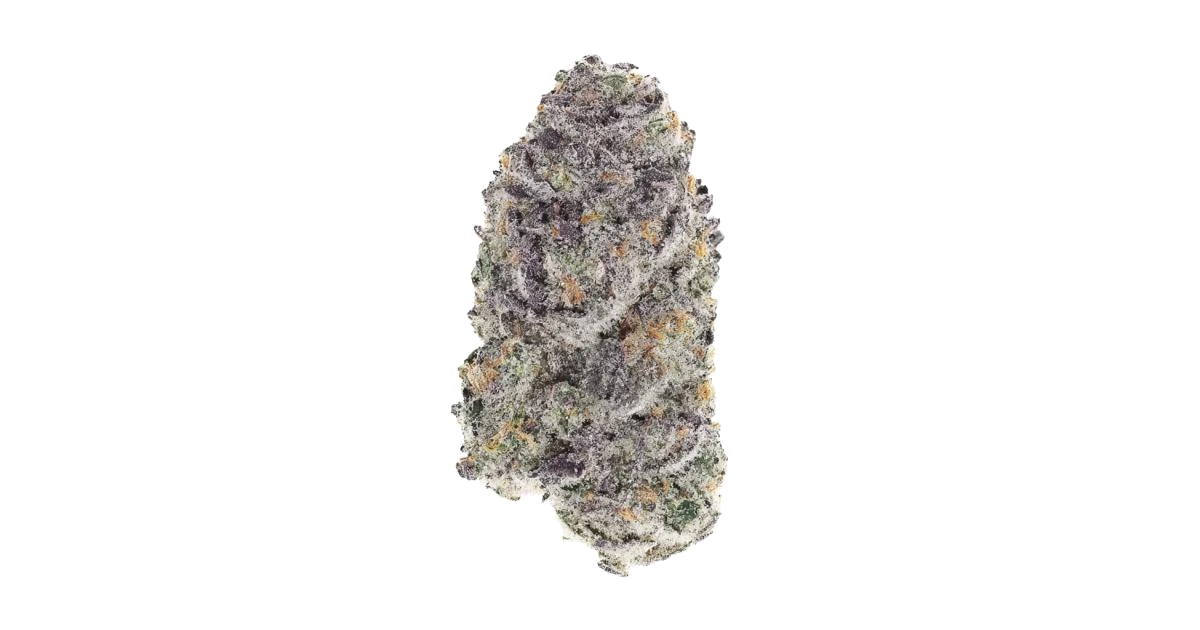 Blueberry Cherry by Exotic Genetix