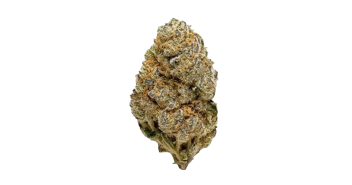 Blueberry Cookies