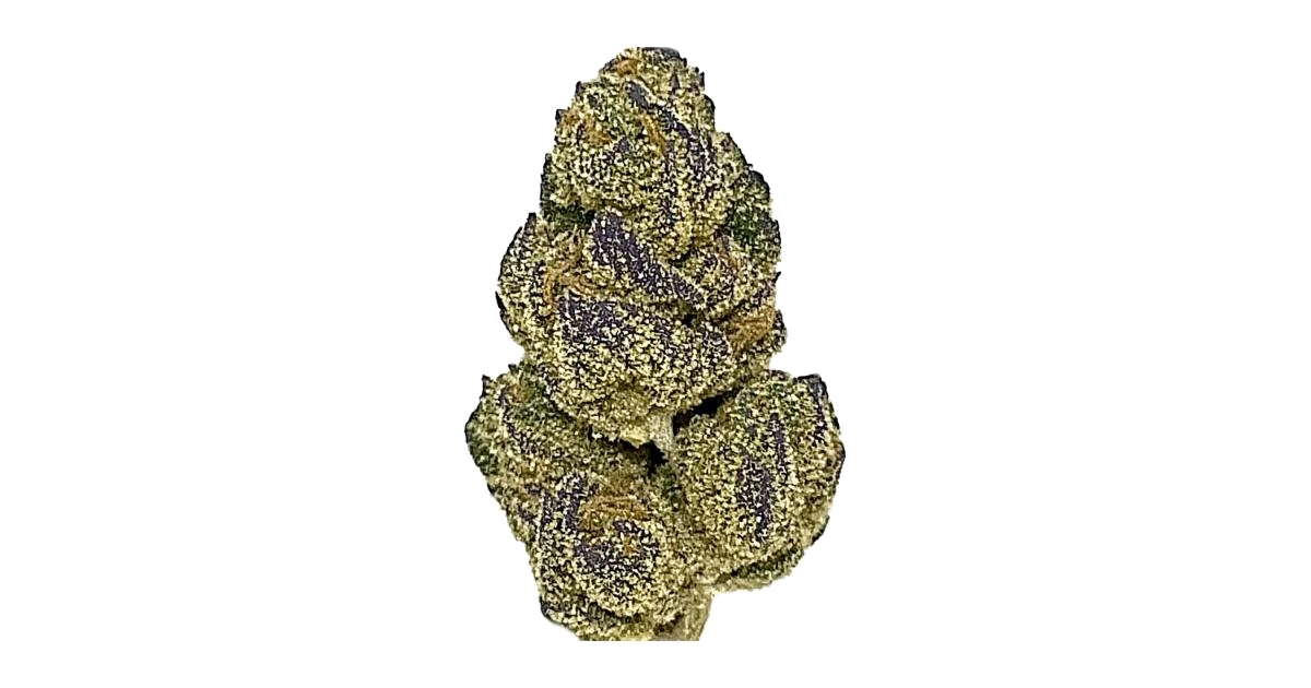 Blueberry Dream