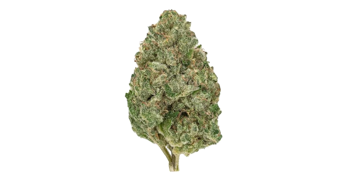 Blueberry Honey