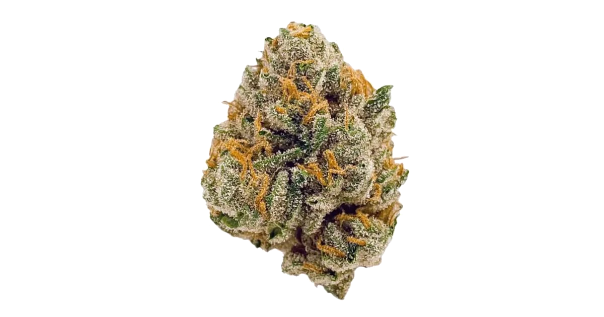 Blueberry Muffin