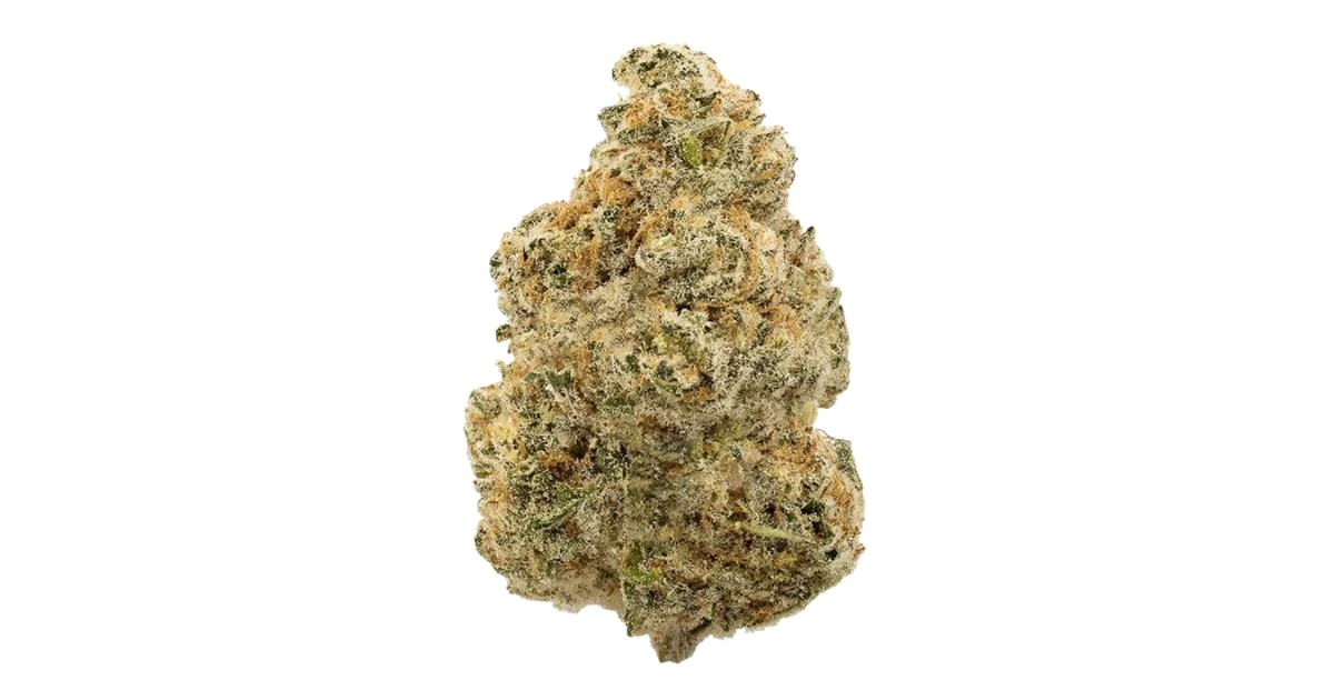 BOG Bubble