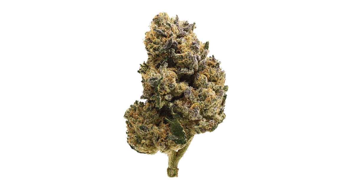 Bombsicle