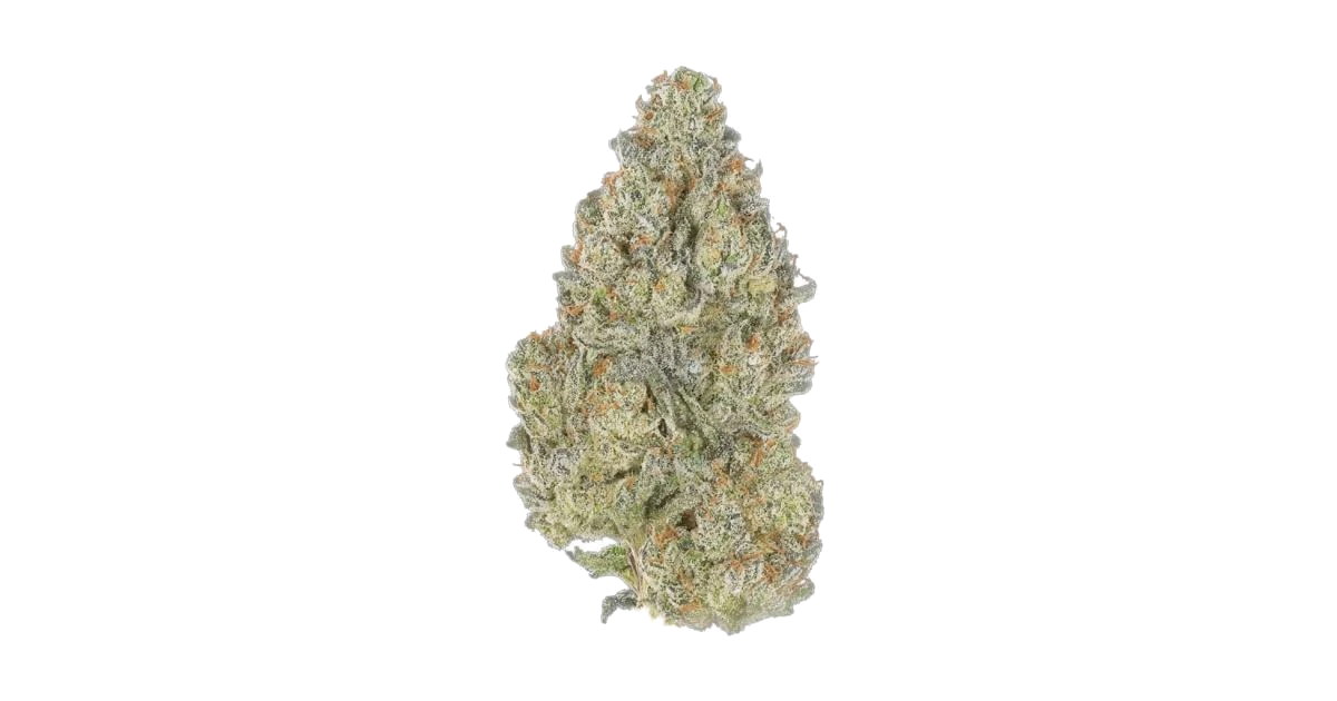 Bonzai