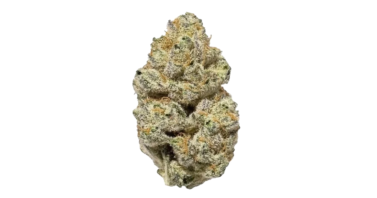 Brownie Scout