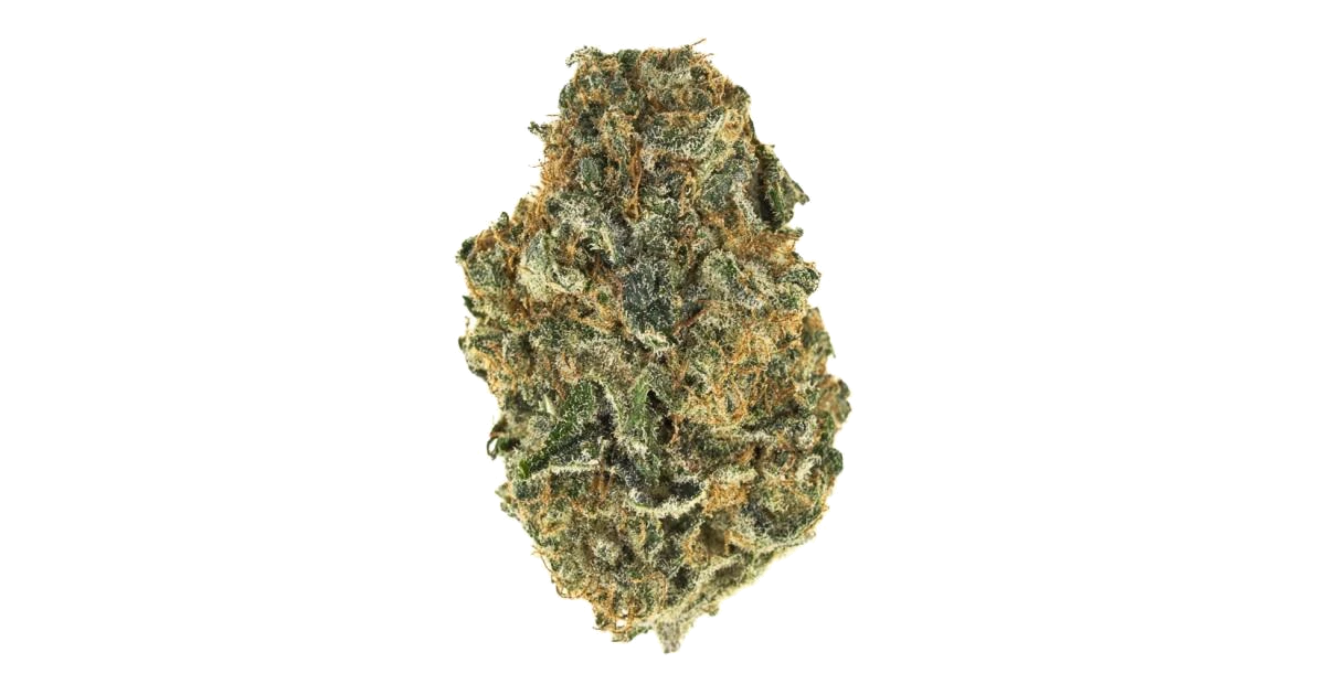 Bruce Banner #3