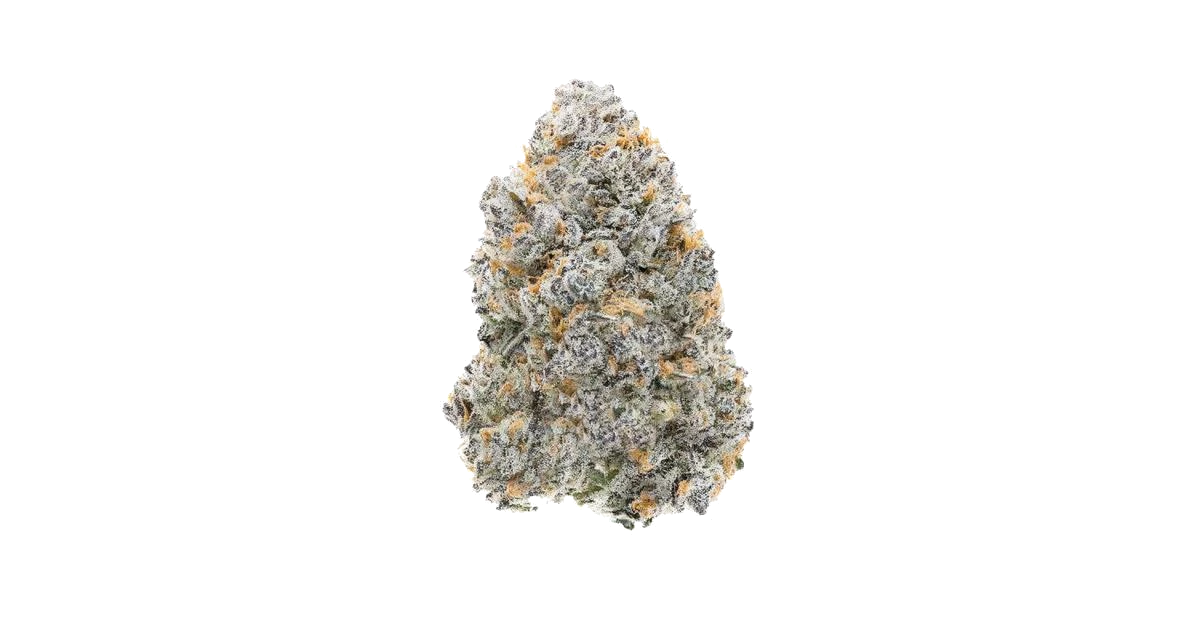Bubbawhip F2