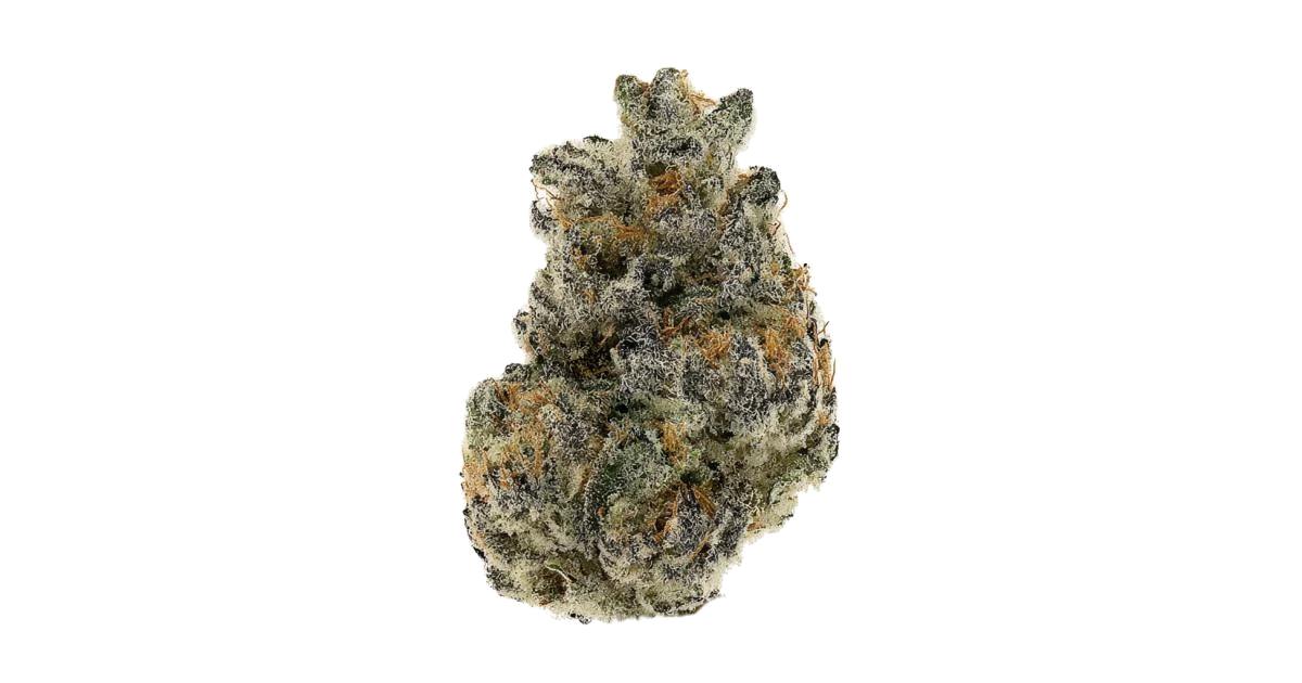 Bubblegum Gelato by The Growing Pains