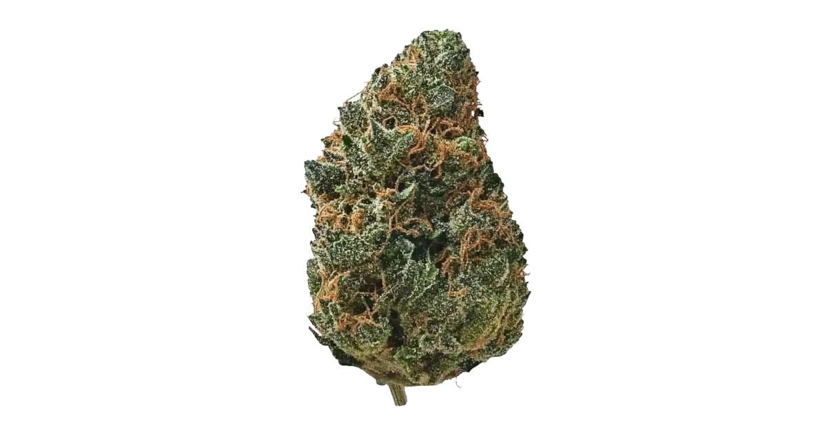 Bubblegum Gelato