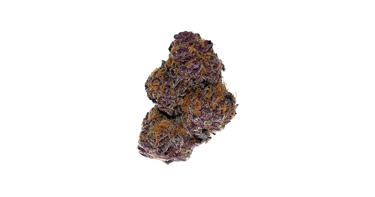 Buckeye Purple