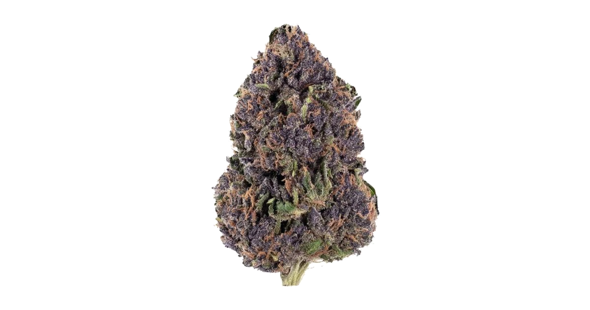 Buckfast OG