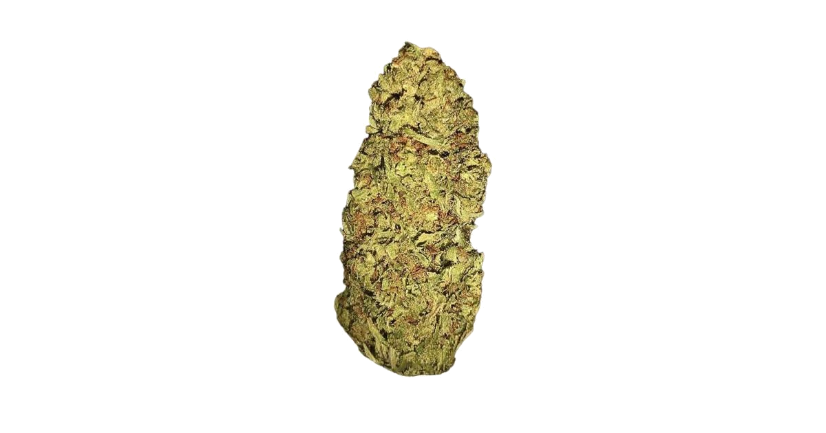 Bugatti OG