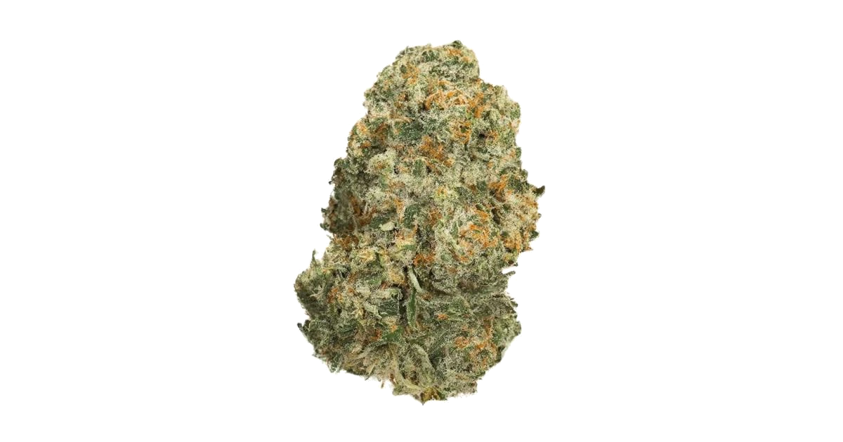 Burnt Glue