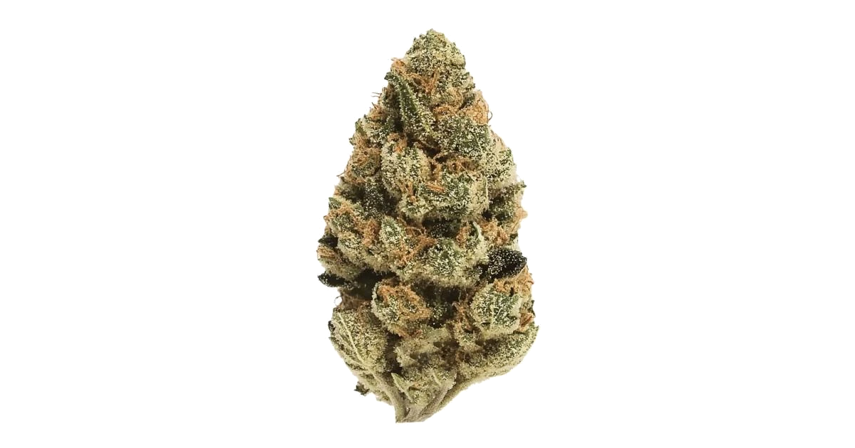 Candy Cane