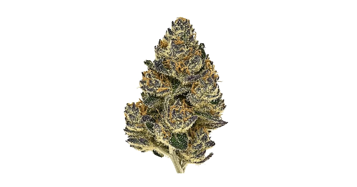 CandyGaz