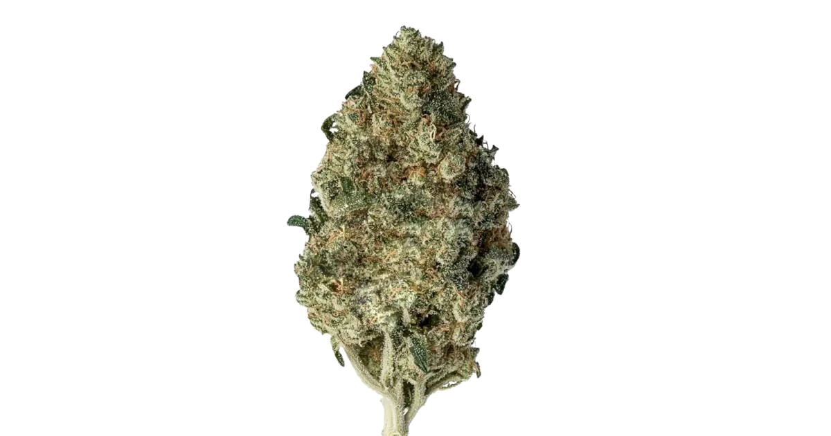 Cannatonic