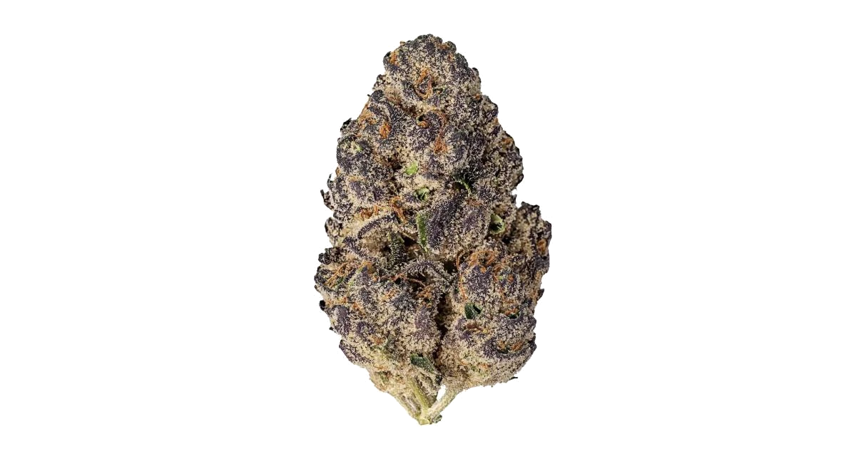 Casino Kush