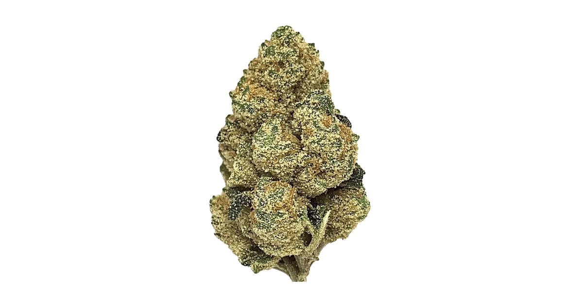CBD Auto 20:1