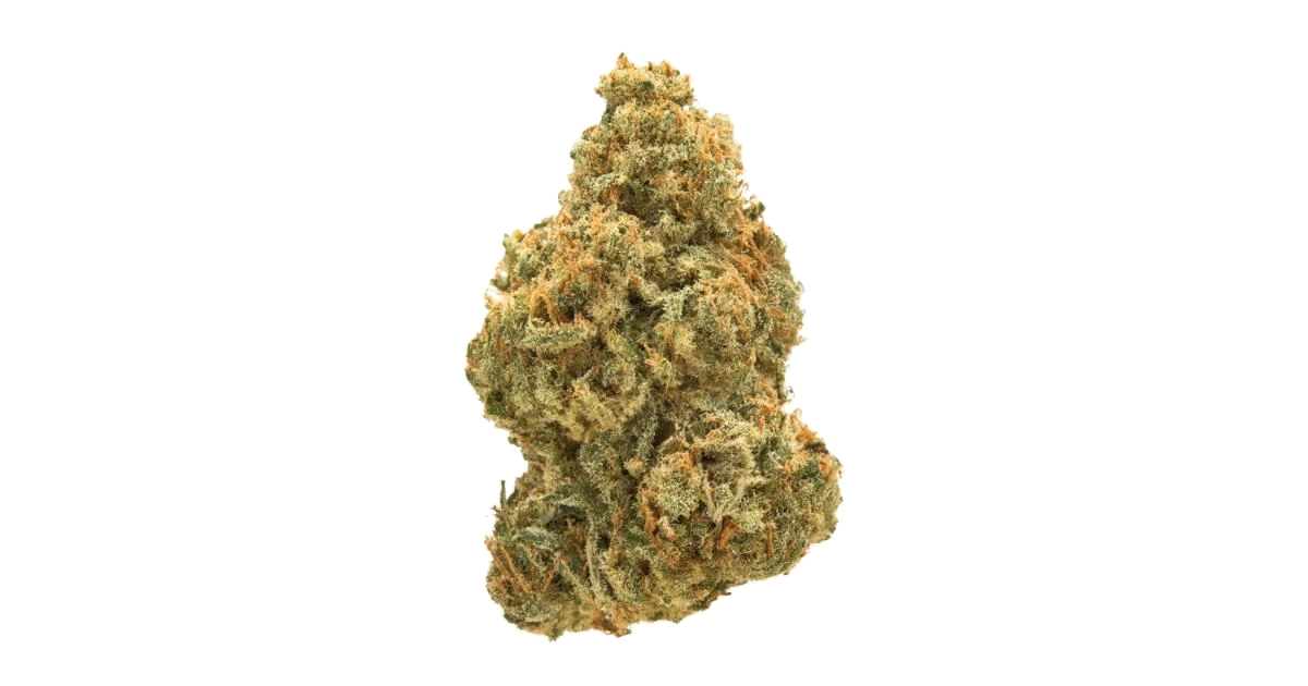 Cheese 95