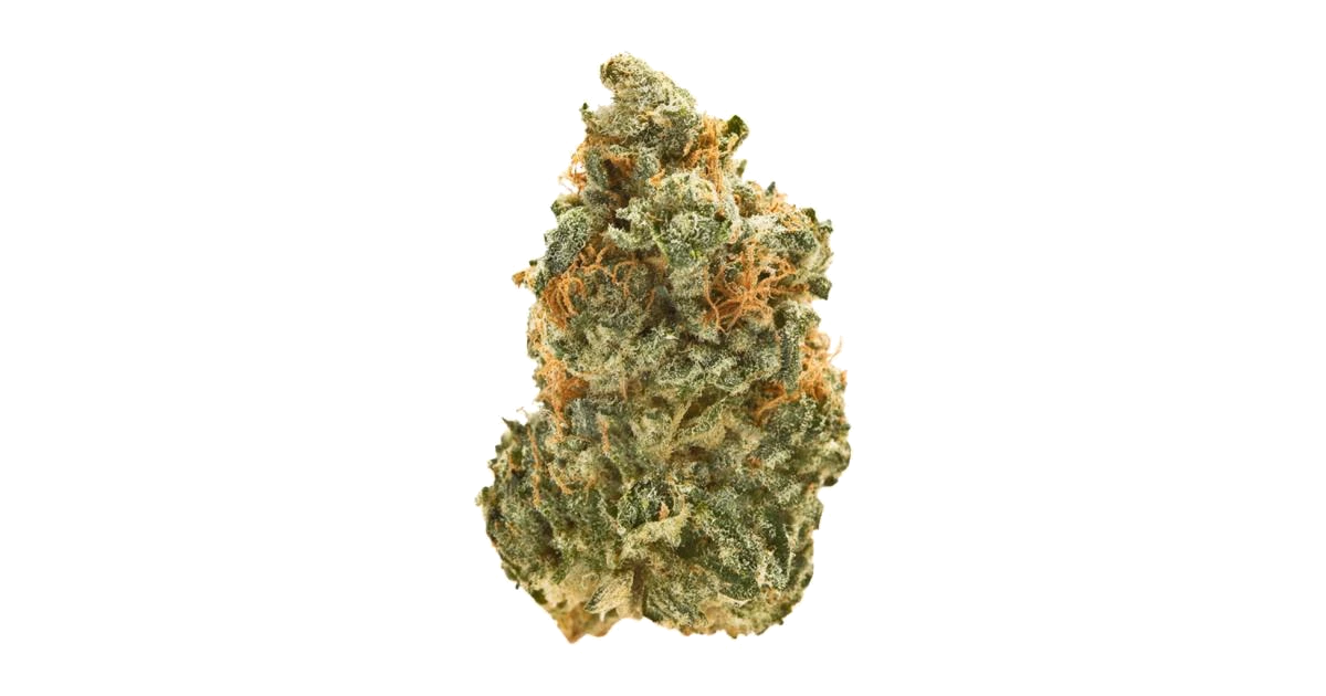 Chem 91