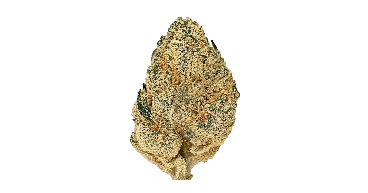 Chem Cookies