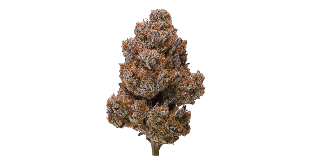 Cherry Gorilla