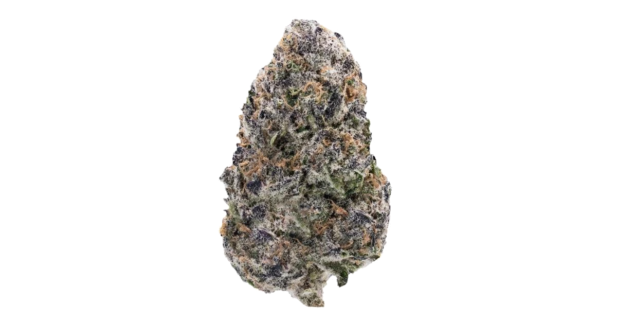Cherry Ztripez