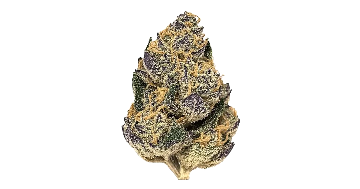 Cookie Monster