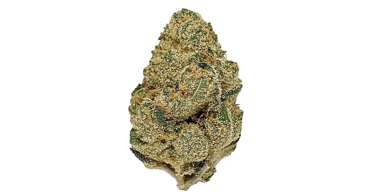 Cream Caramel