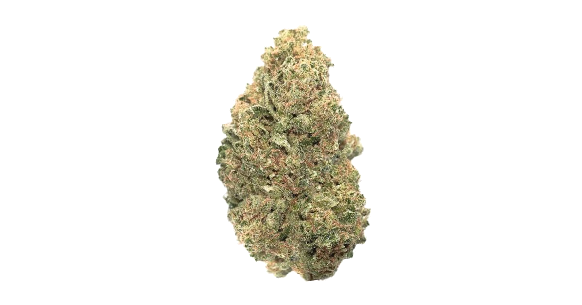 Critical Runtz