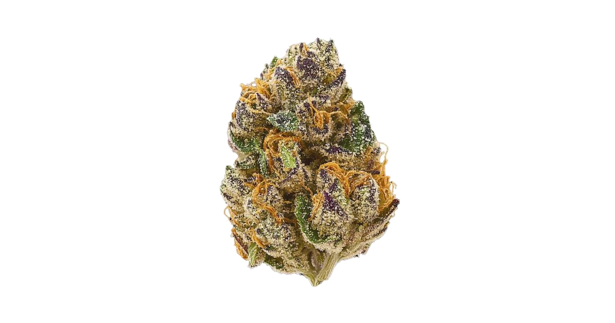 Critical x Sour Face