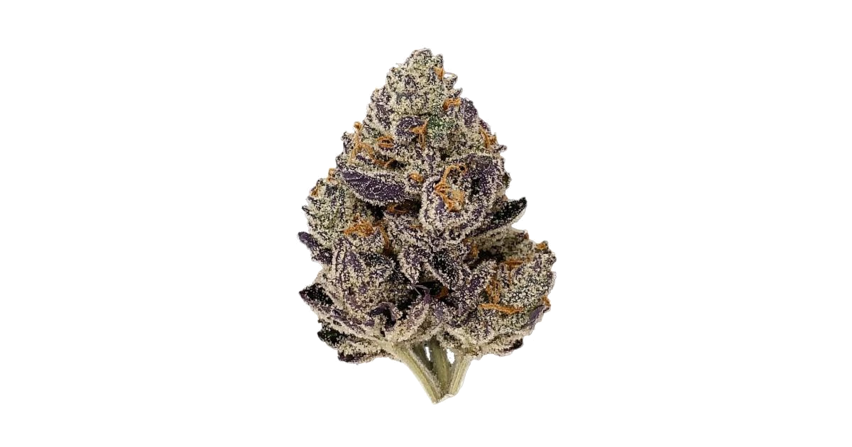 Dankberry Auto