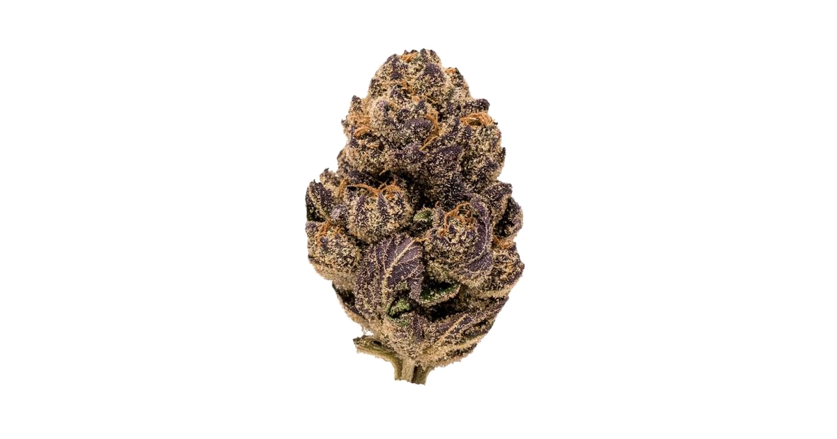 Dark Devil Auto™