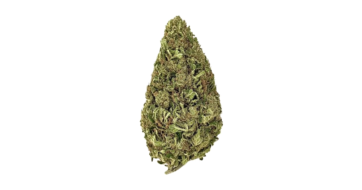 Diablo’s Delight XL Auto