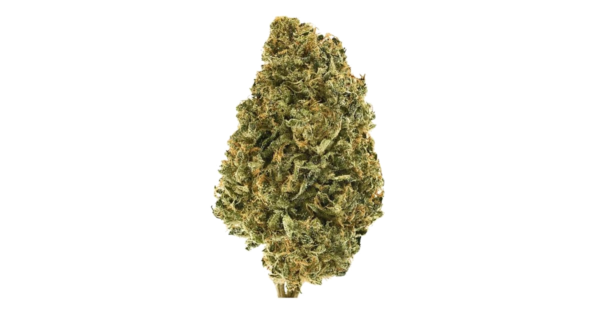 Big Tree Dirty Mimosa Wax
