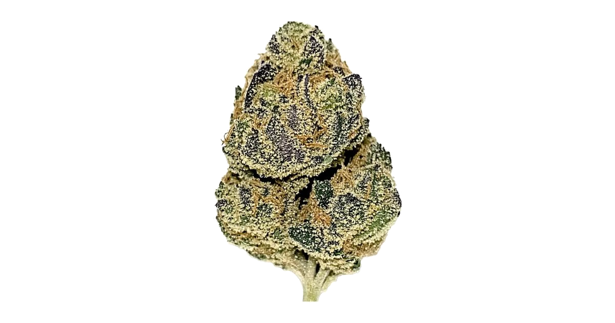 Divine Banana