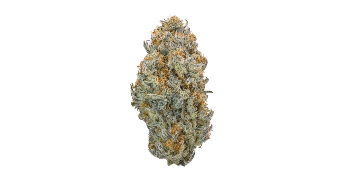 Double Durban