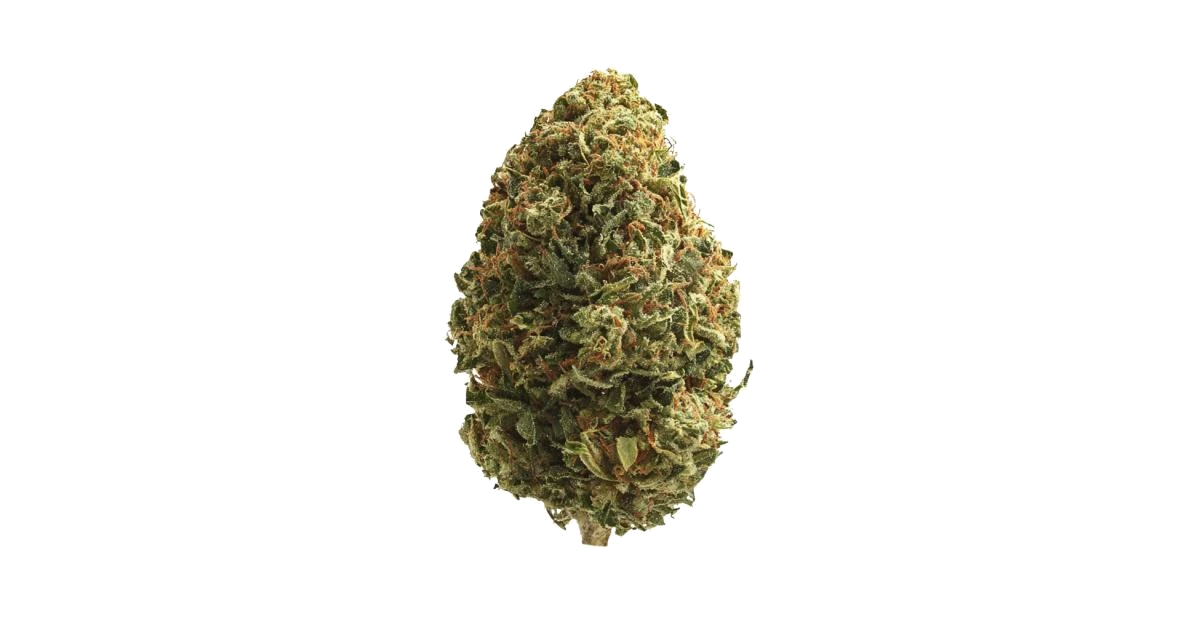 Double Lemon Pie