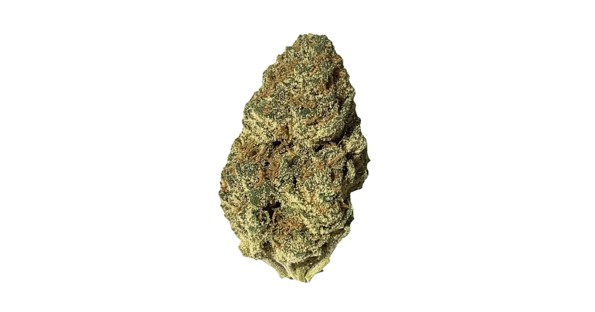 Dr. Grinspoon