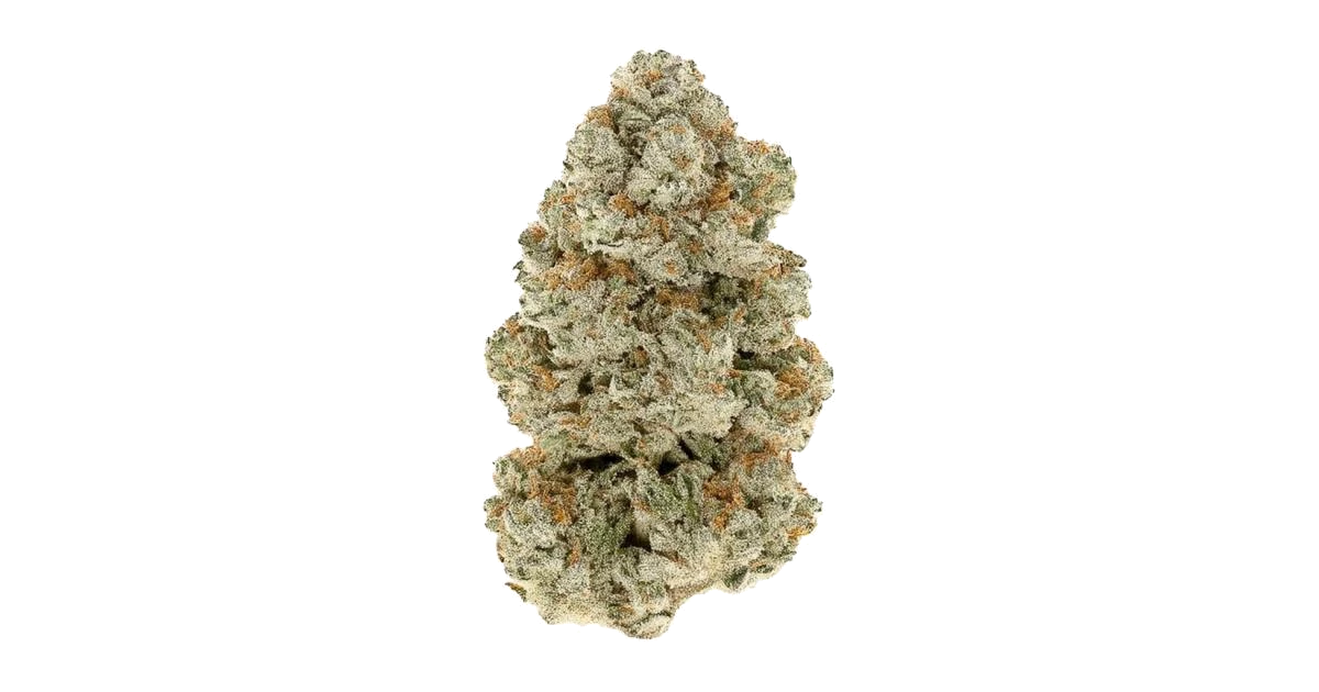 DSC Bomb Pop