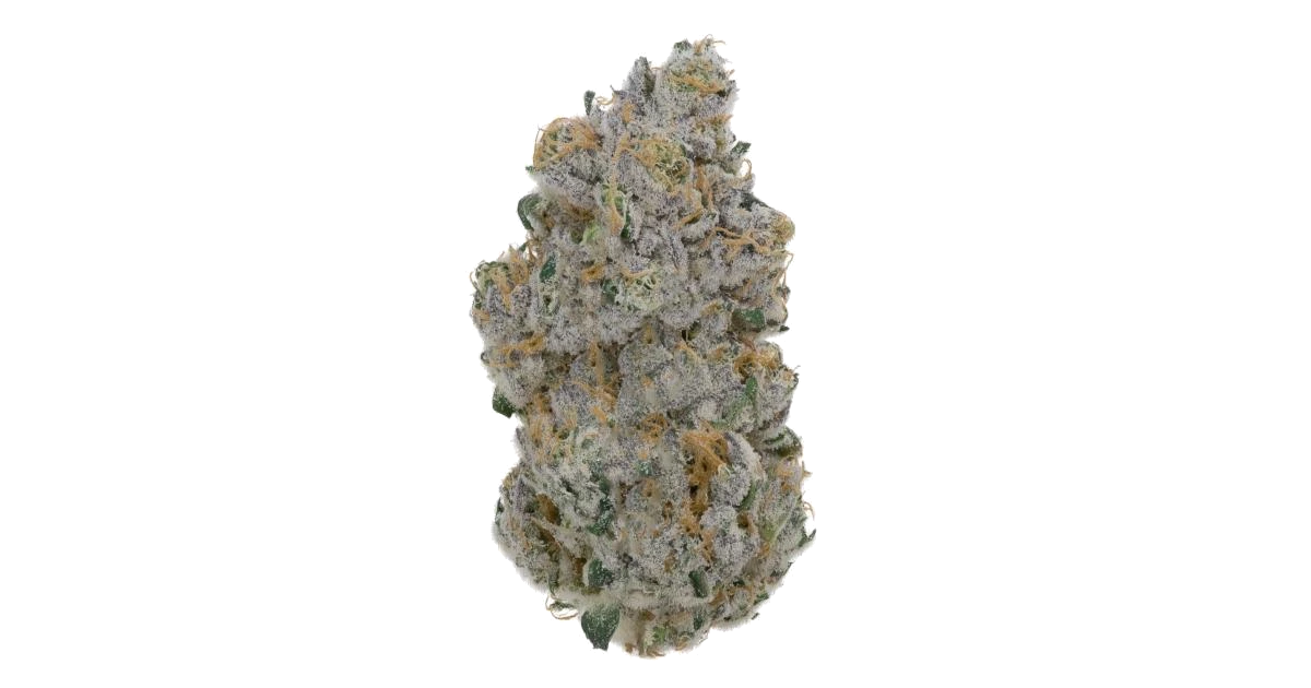 Dumb Gas