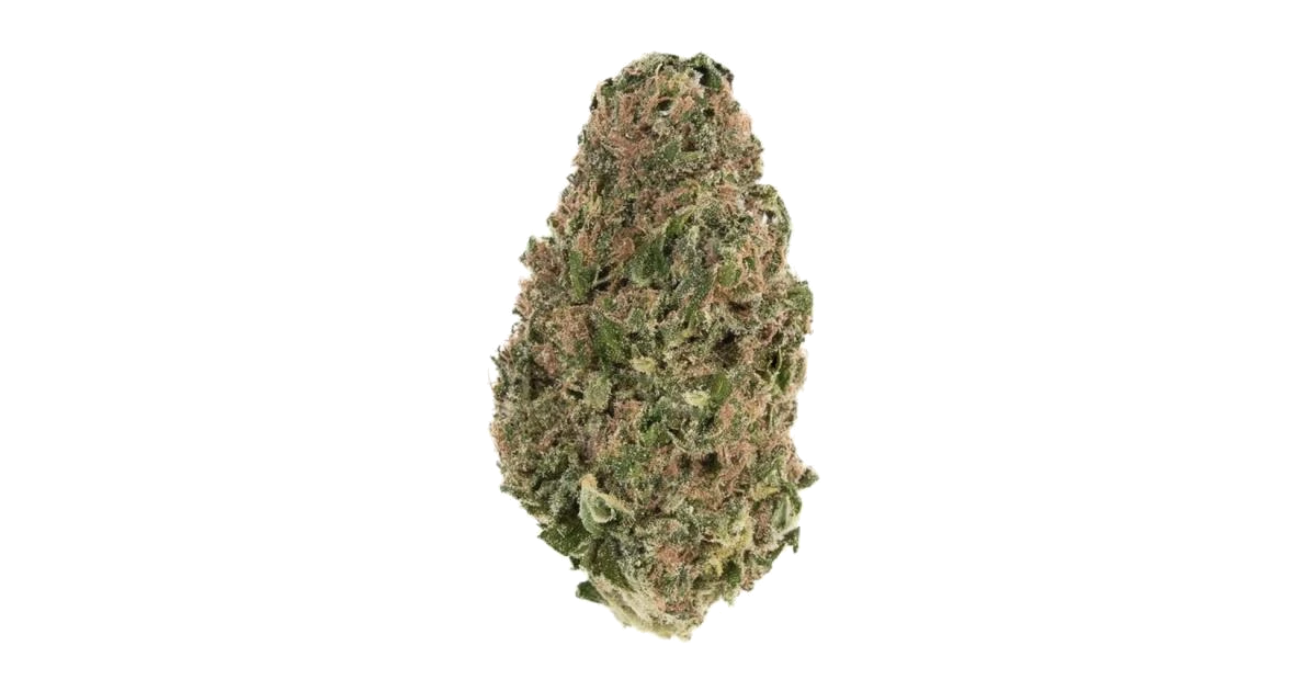 Durban Dream