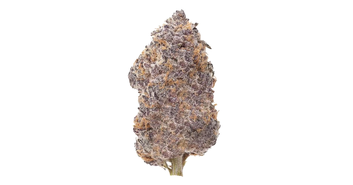 Early Lemon Berry RBX