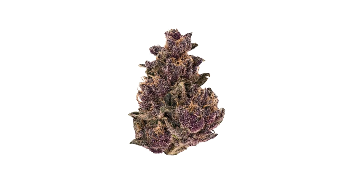 Egyptian Papaya