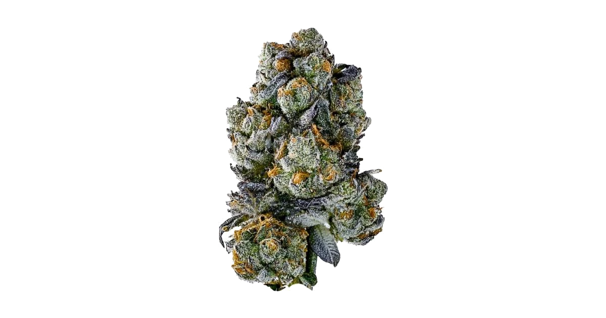 Elementz
