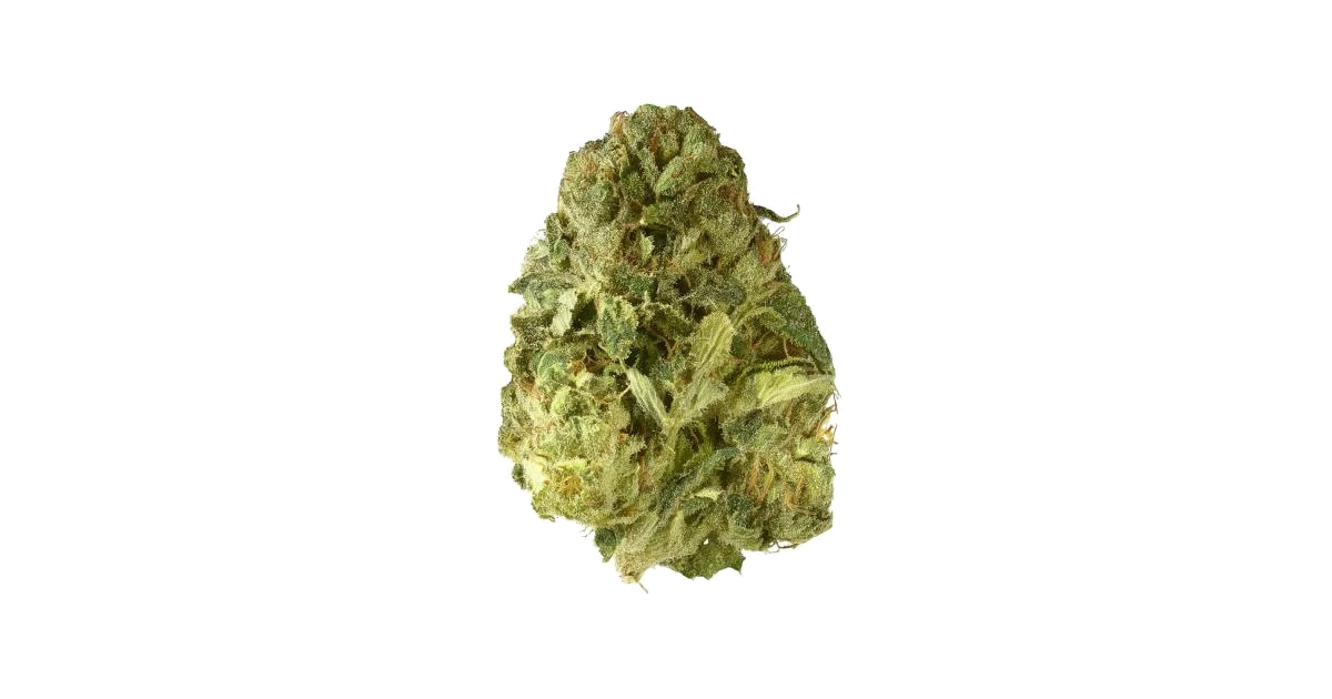 Elmer's Glue